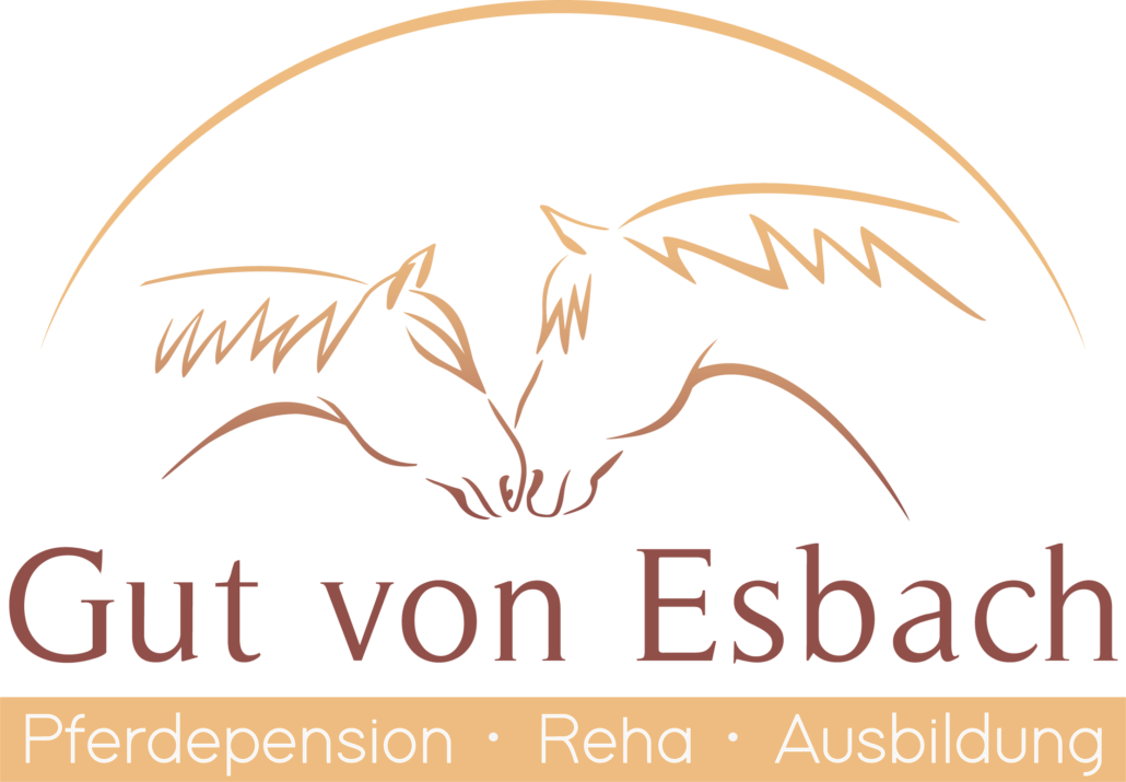 Gut von Esbach, Bullenheim, Kim Merkel